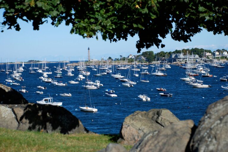 A large body of water with many small boats in it.